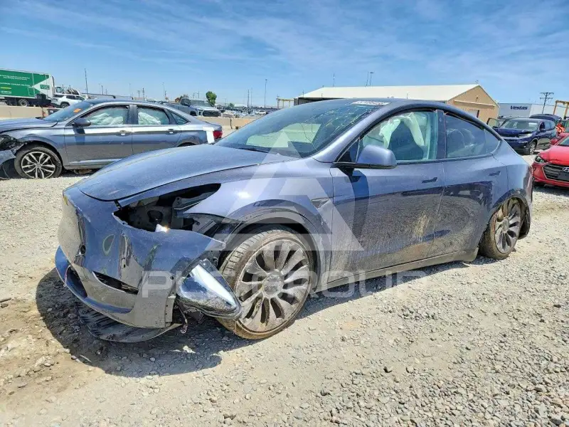 2021 Tesla Model Y photo