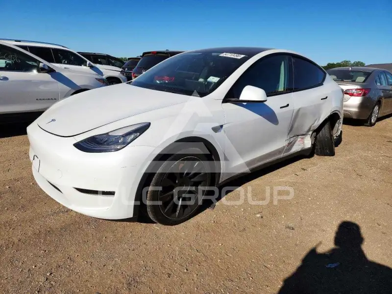 2021 Tesla Model Y photo