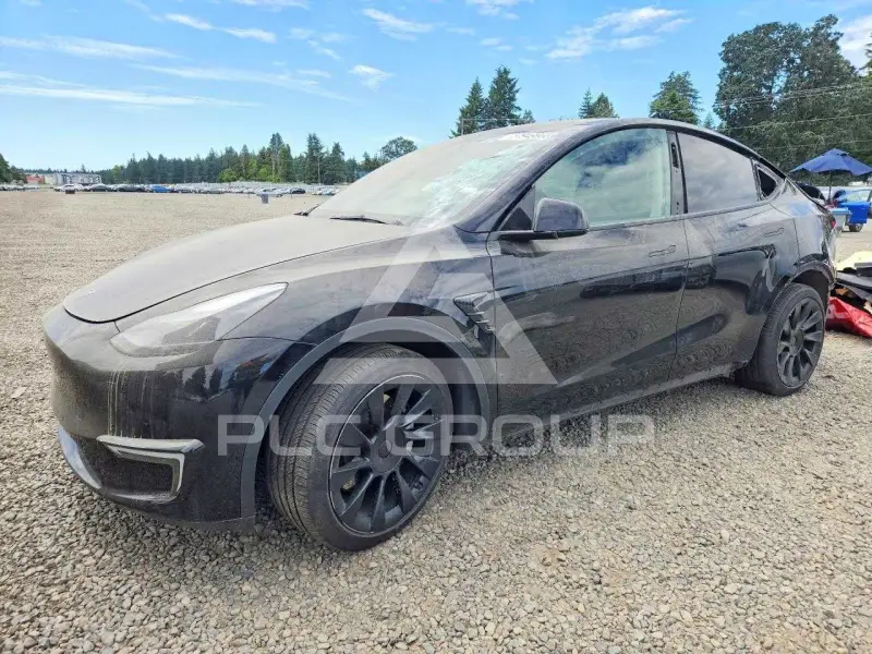 2021 Tesla Model Y фото