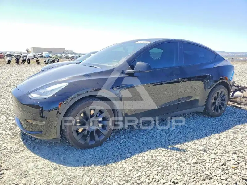 2021 Tesla Model Y фото