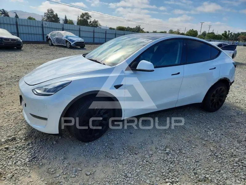 2021 Tesla Model Y фото