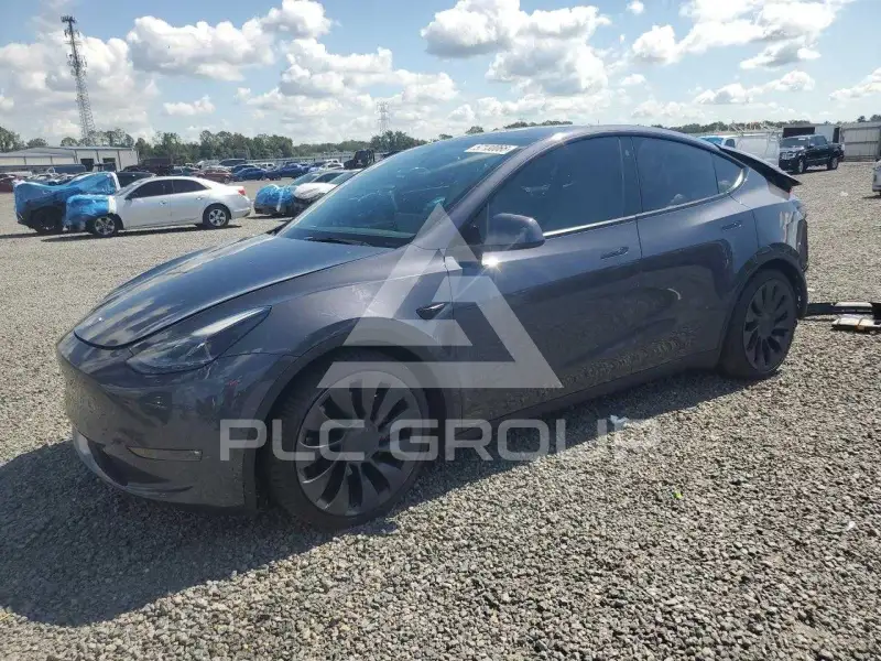 2021 Tesla Model Y photo
