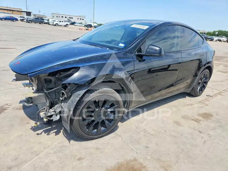 2021 Tesla Model Y photo