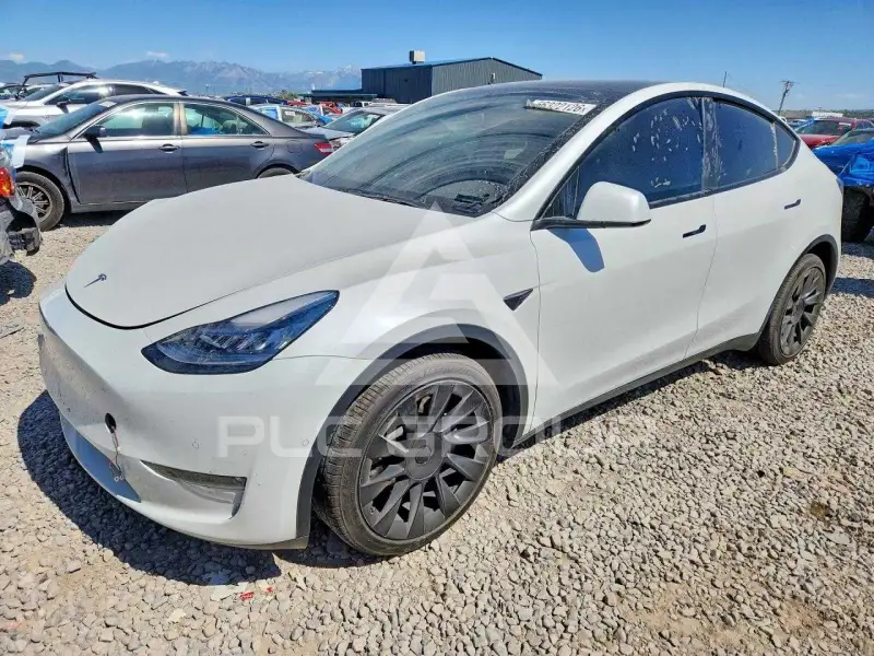 2021 Tesla Model Y фото