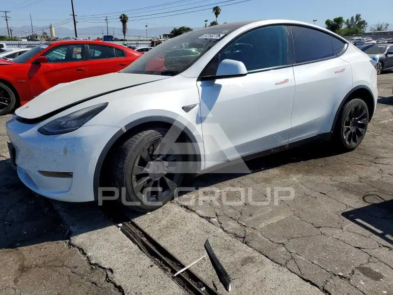 2021 Tesla Model Y фото