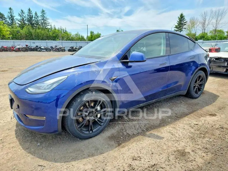 2021 Tesla Model Y фото
