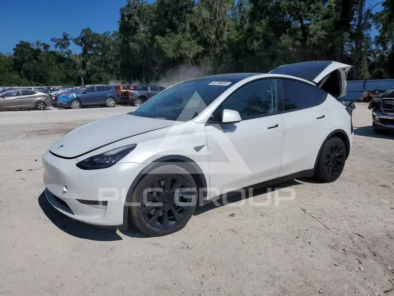 2021 Tesla Model Y фото