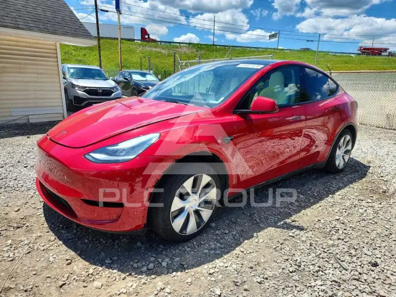 2021 Tesla Model Y фото