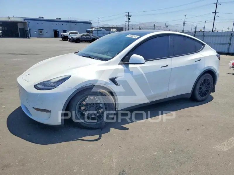 2021 Tesla Model Y photo
