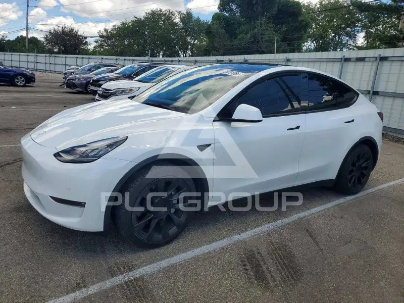 2021 Tesla Model Y photo