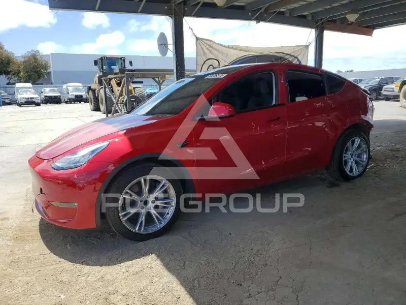 2021 Tesla Model Y photo