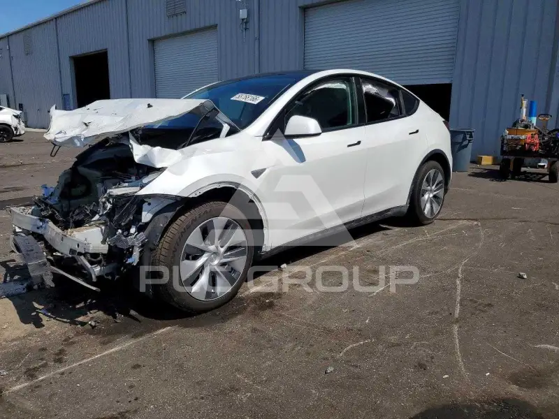 2021 Tesla Model Y photo