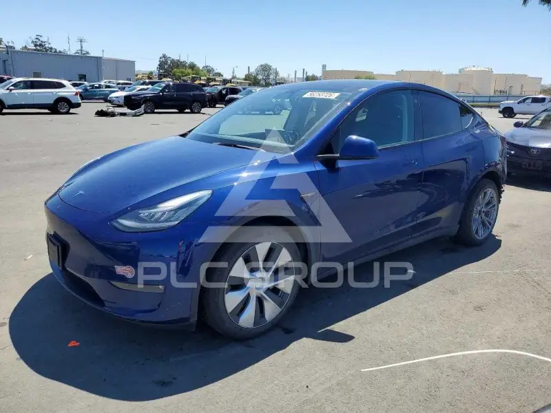 2021 Tesla Model Y фото