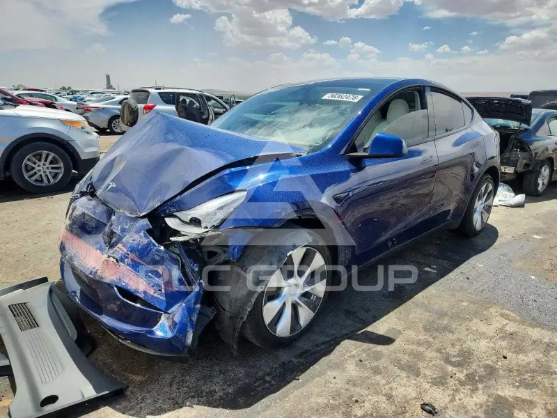 2021 Tesla Model Y photo