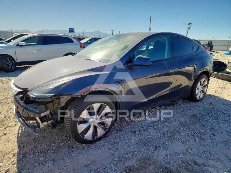 2021 Tesla Model Y фото