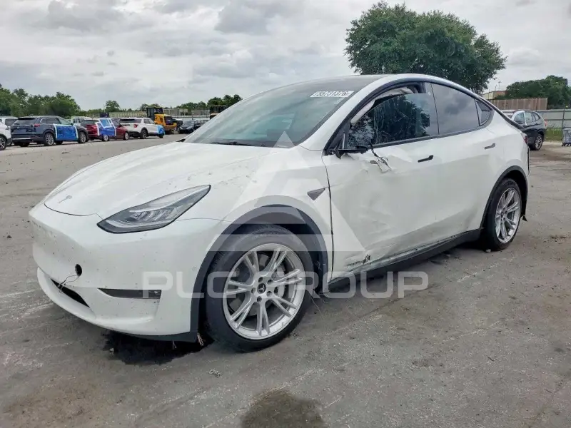 2021 Tesla Model Y photo