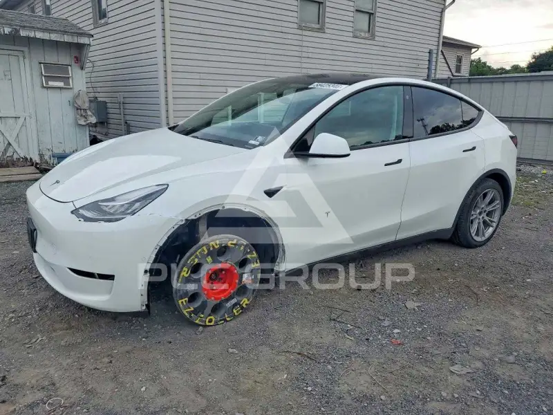 2021 Tesla Model Y фото