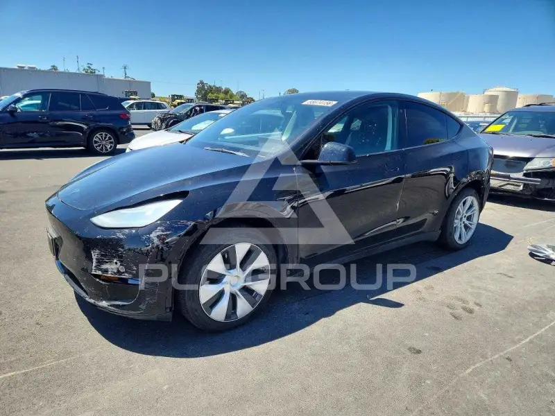 2021 Tesla Model Y photo