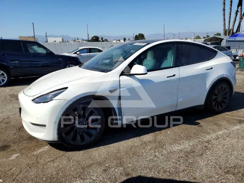 2021 Tesla Model Y photo