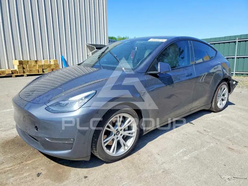 2021 Tesla Model Y photo