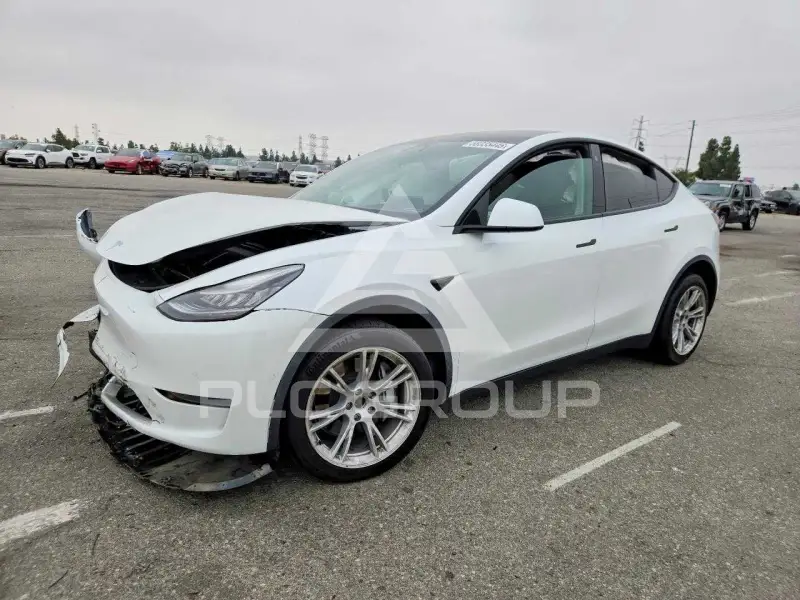 2021 Tesla Model Y фото