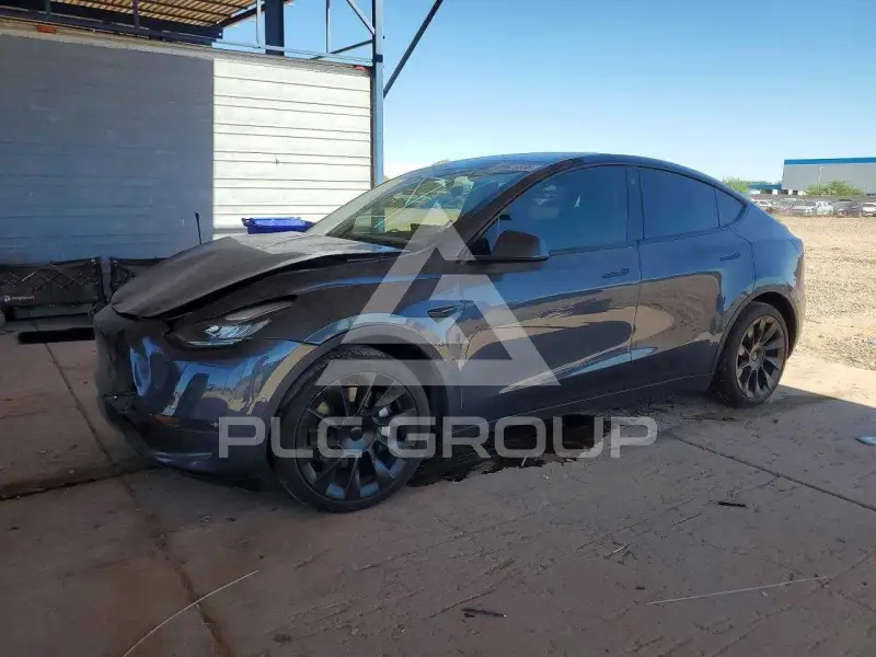 2021 Tesla Model Y фото