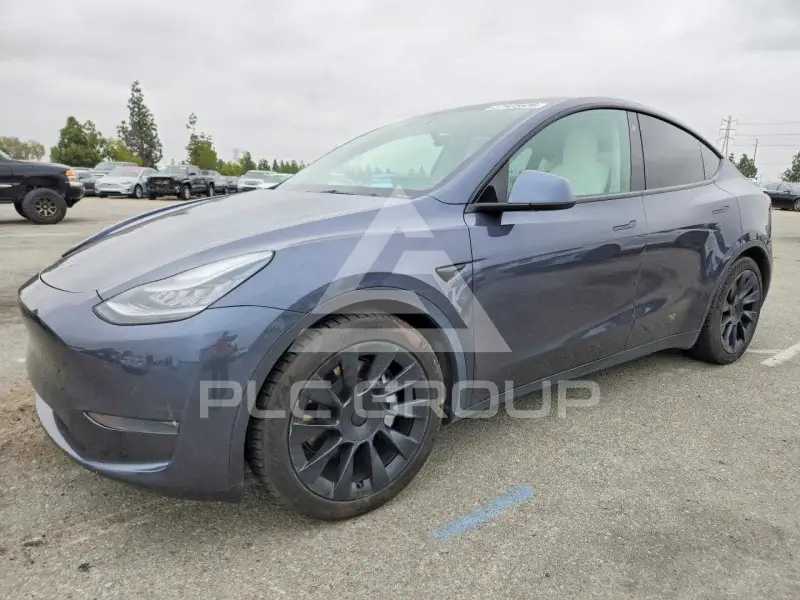 2021 Tesla Model Y фото