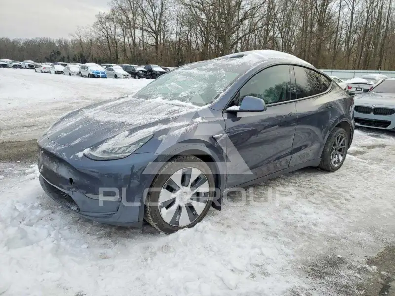 2021 Tesla Model Y photo