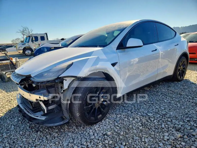 2021 Tesla Model Y фото