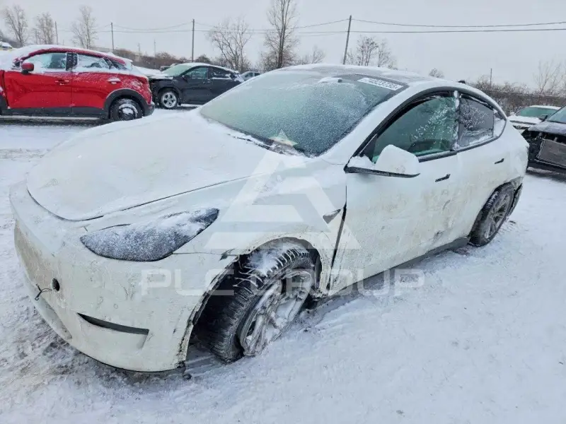 2021 Tesla Model Y фото