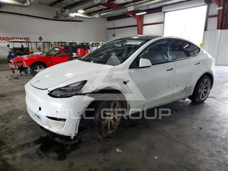 2021 Tesla Model Y фото