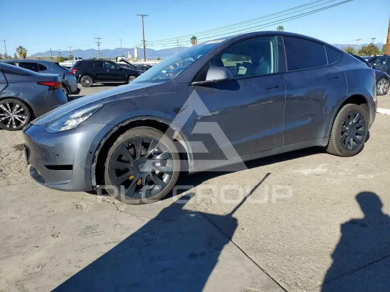 2021 Tesla Model Y фото