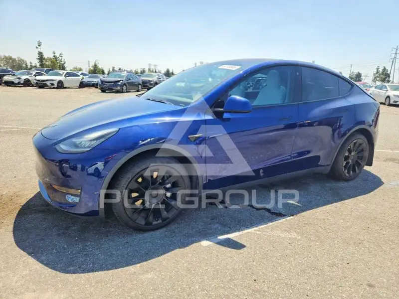 2021 Tesla Model Y фото
