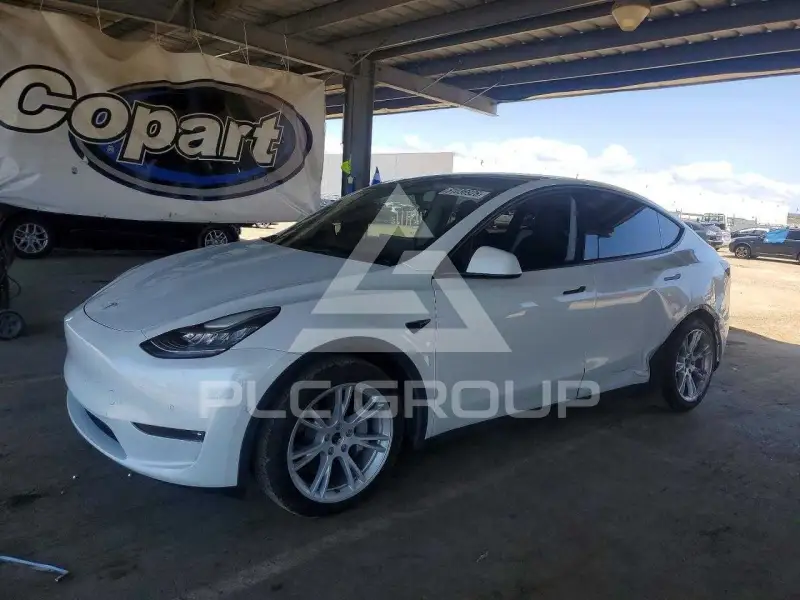 2021 Tesla Model Y фото