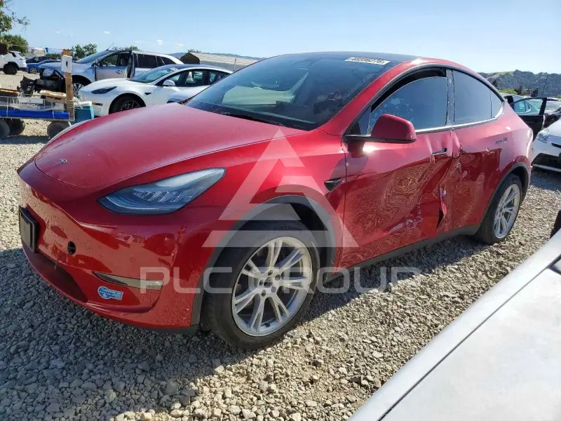 2021 Tesla Model Y фото
