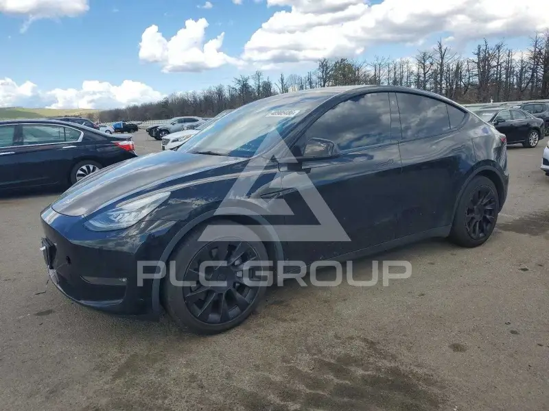 2021 Tesla Model Y фото