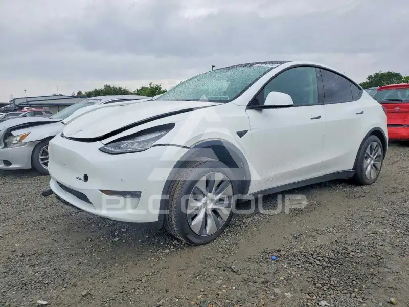 2021 Tesla Model Y фото