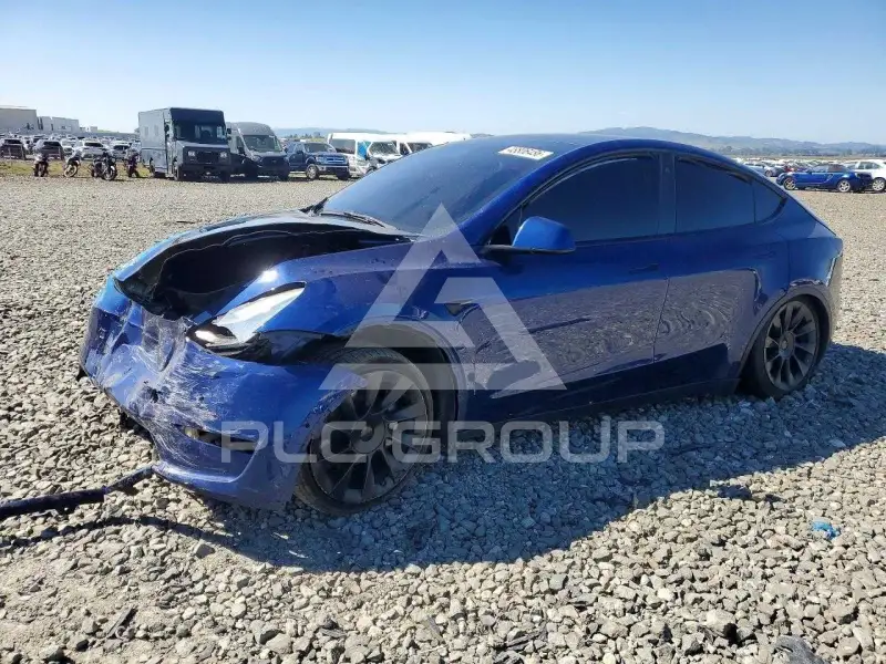 2021 Tesla Model Y фото