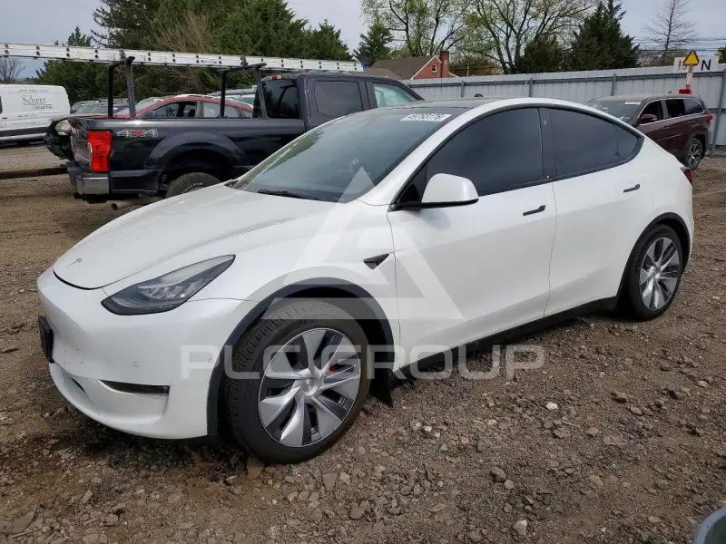 2021 Tesla Model Y фото