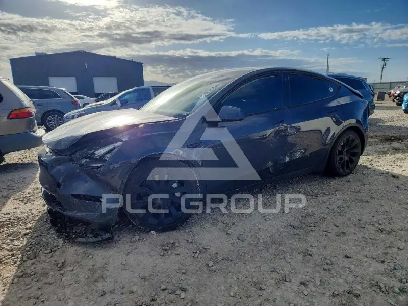 2021 Tesla Model Y фото