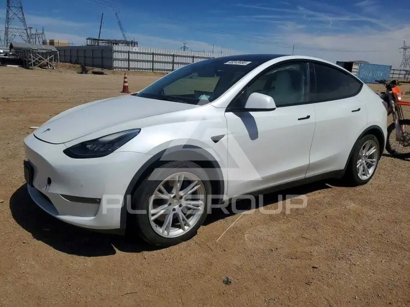 2021 Tesla Model Y фото