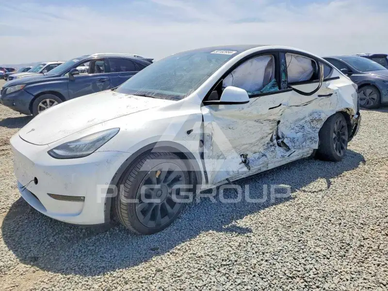 2021 Tesla Model Y фото