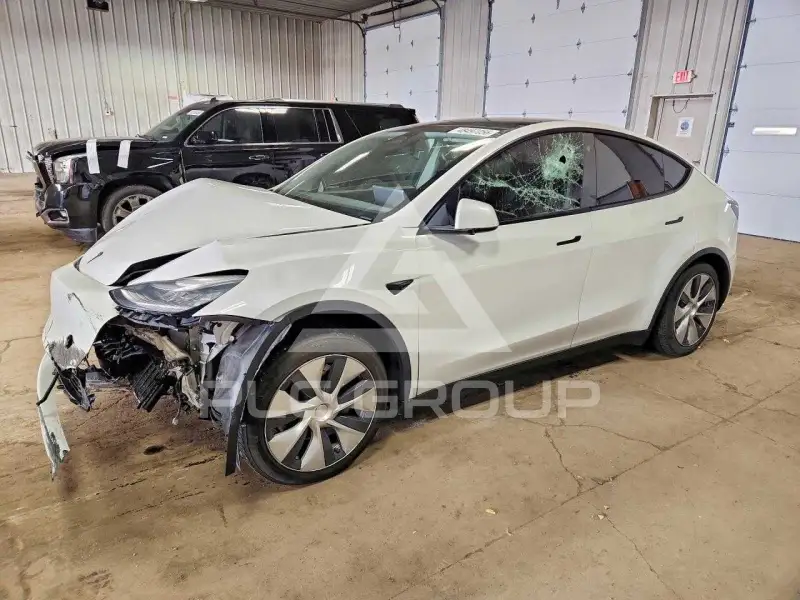 2021 Tesla Model Y фото