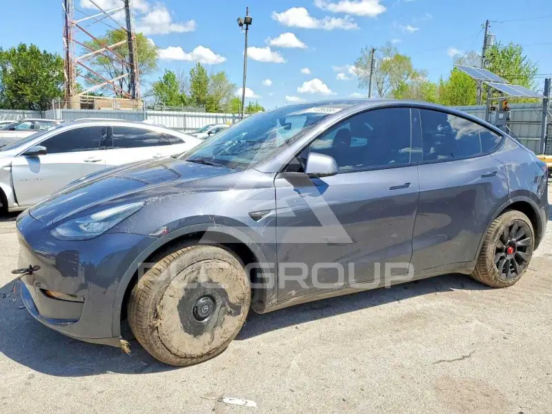 2021 Tesla Model Y photo