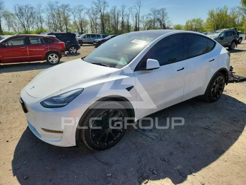 2021 Tesla Model Y фото