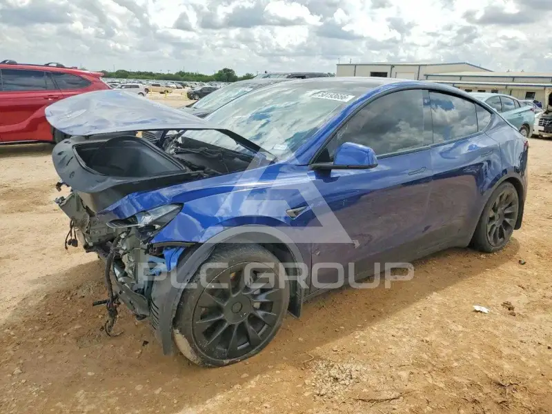 2021 Tesla Model Y photo