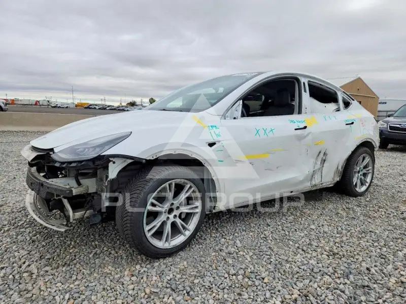 2021 Tesla Model Y фото
