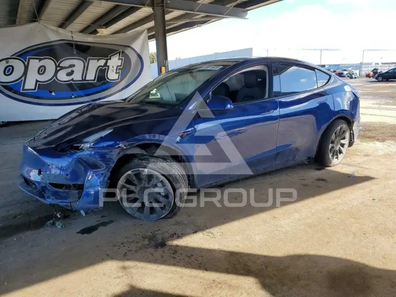 2021 Tesla Model Y фото