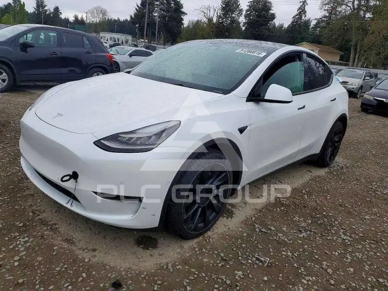 2021 Tesla Model Y фото