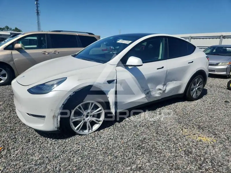2021 Tesla Model Y фото